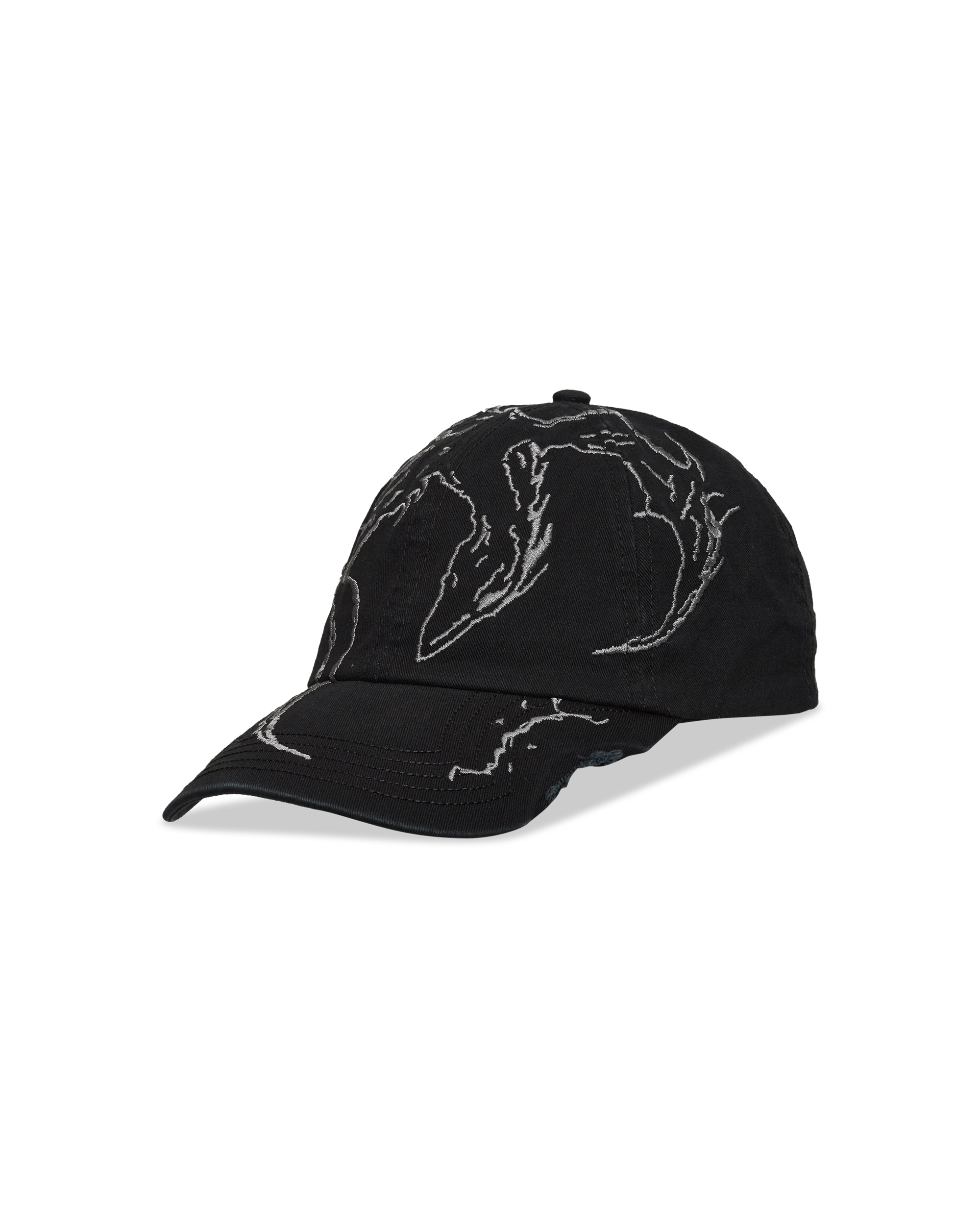 Ryli Embriodered 6-Panel Cap
